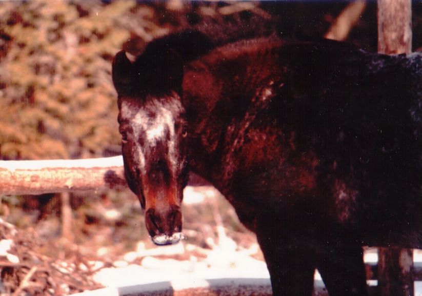 Ah, the refreshing feeling of a
snowy lip.